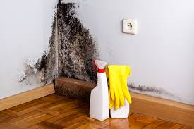 Best Mold Prevention Services  in Neenah, WI